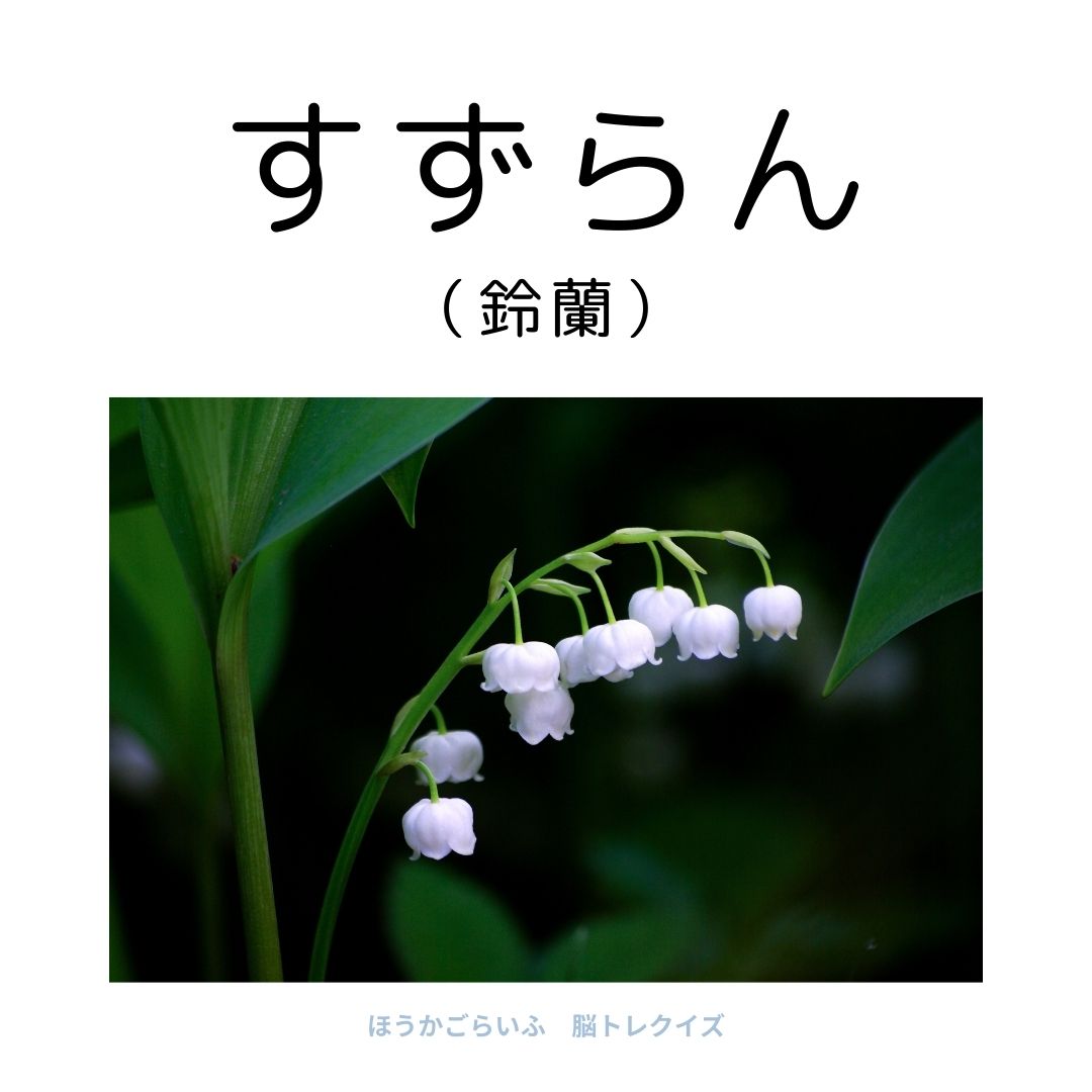 高齢者向け（無料）言葉の並び替えで脳トレしよう！文字（ひらがな）を並び替える簡単なゲーム【花の名前】健康寿命を延ばす鍵